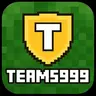 Teams999