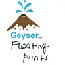 GeyserFloatingPoints