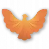 CustomWings