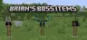 Brian's Boss Items
