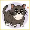 OIIA Cats (HALF SPEED)
