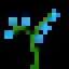 Blue Orchid