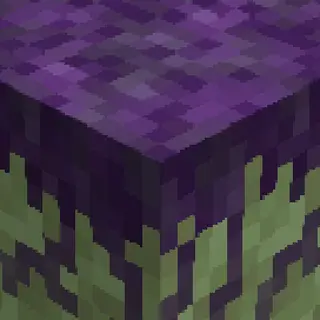 Rerender