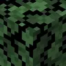 Taiga Foliage Everywhere!
