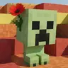 Survival-Friend