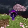 Sammy Purple Basic