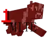 ToroHealth-MITE