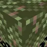 StoryMode Leaves+