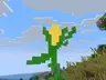Corn!