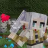 zeyeslab