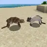 Cat Fighting