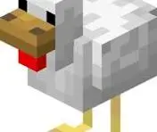 Chicken boom