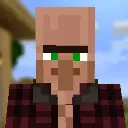 More Villager Professions