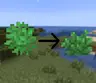 Swapped Biomes O’ Plenty Bush