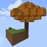 Skyblock Structure