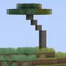 Winter Biomes