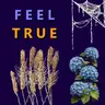 FeelTrue_so_Plenty