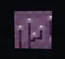 Chorus shulkers