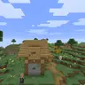 Generic Village Panorama