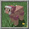 New Old Sheep