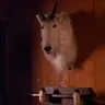 JimCraft S2 stuff