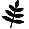 Fern - Another Food Mod