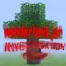Wonderland Investigation Corp
