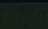 hostile mobcap 1000