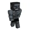 Chadplus