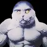 Totem Folk Cat Meme