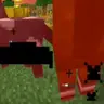 Black Sweep & Criticals