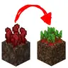 Nether Wart to Beetroot