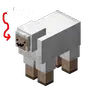 Shep