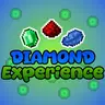 Diamond Experience