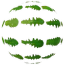 RandomLeaf