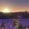 RP and Mod pvp