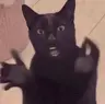 Clapping Cat Totem