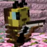 AriaMathBee (Social Media's Violinist Bee)