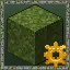 Sensible Plants