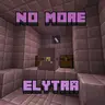 No Elytra In End City