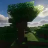 2x2 Big Oak Trees