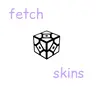 Load sk launcher skins