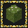 Better Moss