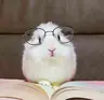 MatLib