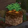 Juicy Crops