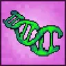 Primordia