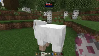 What is This?