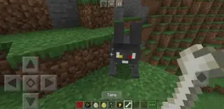 New Bosses