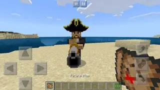 Pirate from Terraria