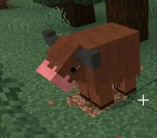 Forest Mobs